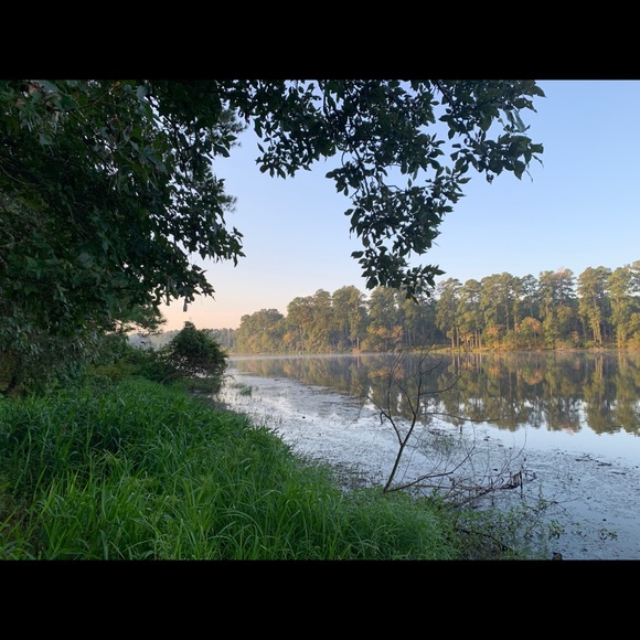 Meet your Posher, Michelle - Picture 5 of 5